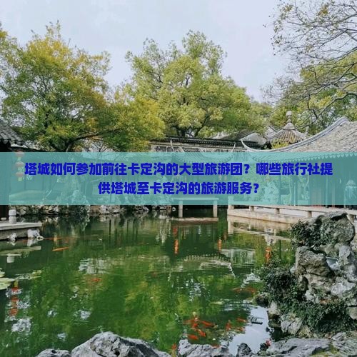塔城如何参加前往卡定沟的大型旅游团？哪些旅行社提供塔城至卡定沟的旅游服务？