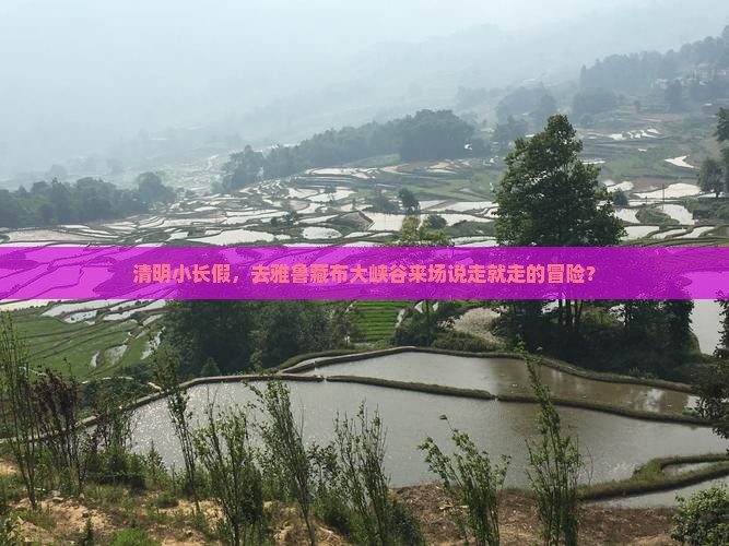 清明小长假，去雅鲁藏布大峡谷来场说走就走的冒险？