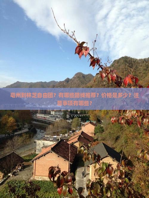 亳州到林芝自由团？有哪些路线推荐？价格是多少？注意事项有哪些？