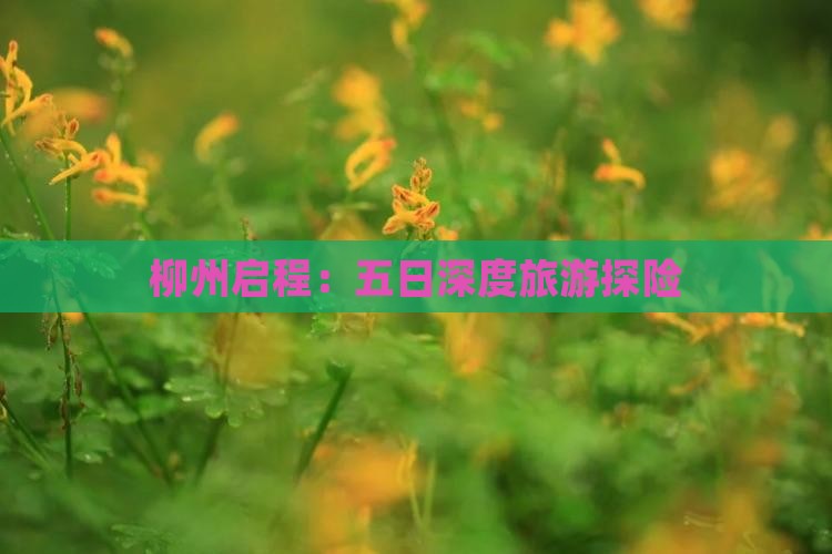 柳州启程：五日深度旅游探险