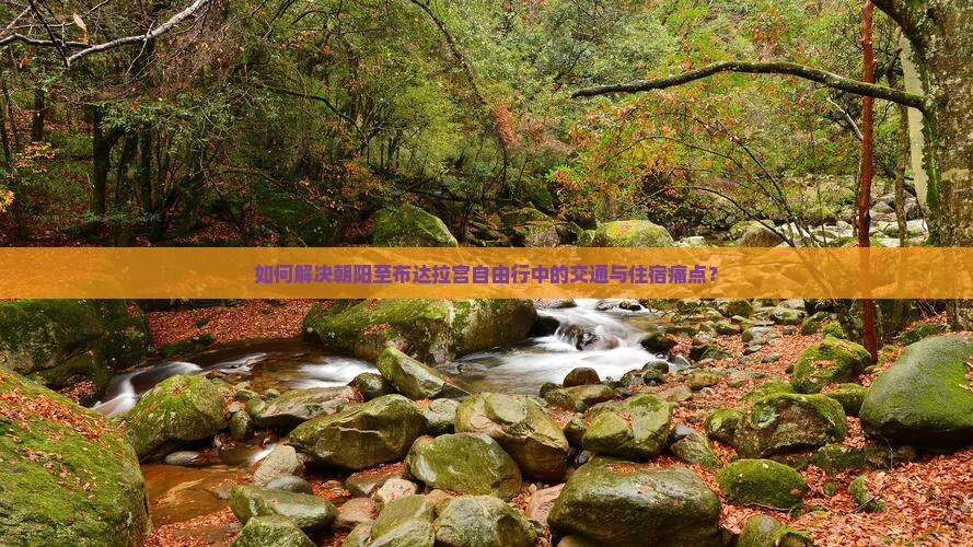 如何解决朝阳至布达拉宫自由行中的交通与住宿痛点？