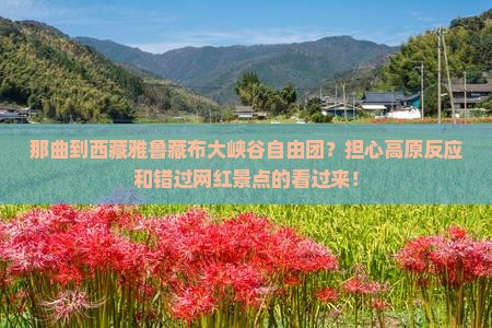 那曲到西藏雅鲁藏布大峡谷自由团