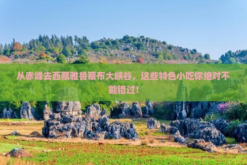 赤峰到西藏雅鲁藏布大峡谷旅游小吃