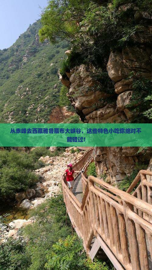 赤峰到西藏雅鲁藏布大峡谷旅游小吃