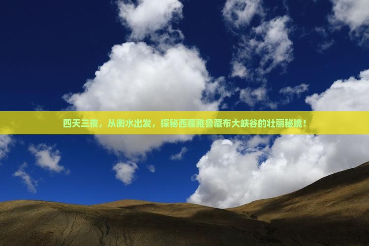 衡水到西藏雅鲁藏布大峡谷四日游