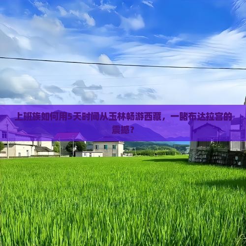 玉林去西藏布达拉宫五日游