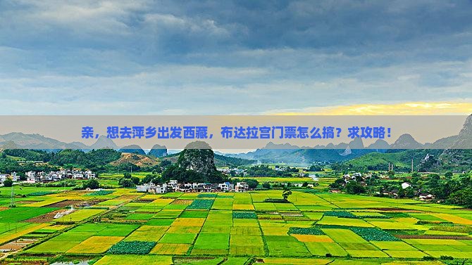 萍乡去西藏布达拉宫门票