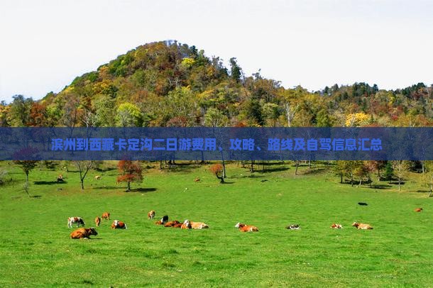 滨州到西藏卡定沟二日游