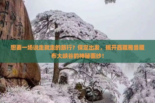 保定去西藏雅鲁藏布大峡谷旅游