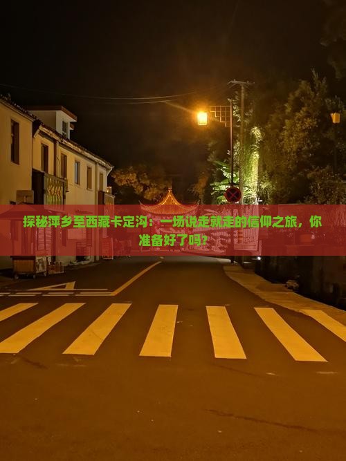 萍乡去西藏卡定沟攻略
