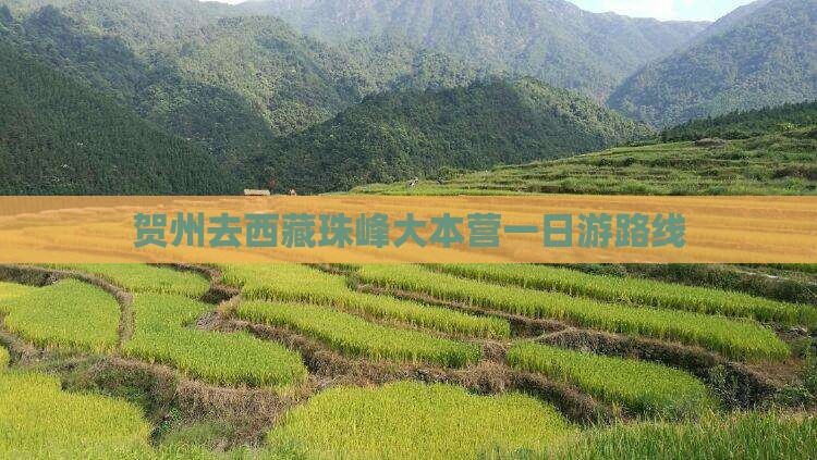 贺州去西藏珠峰大本营一日
