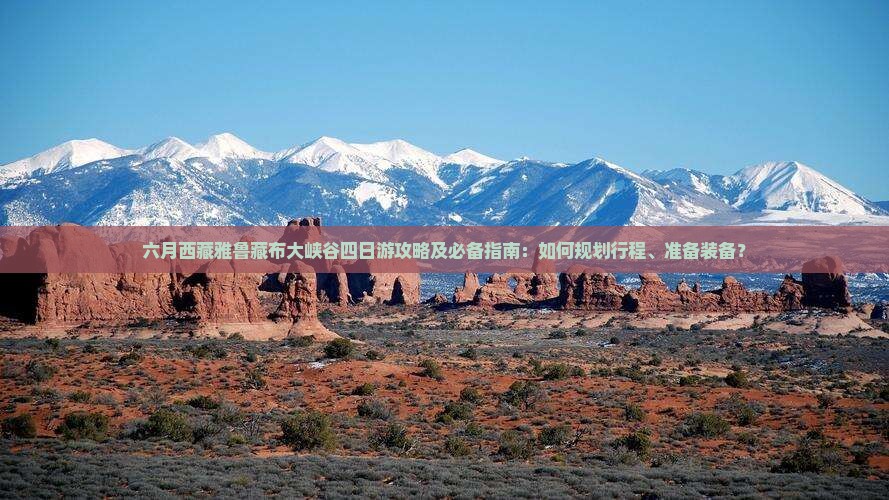 六月去西藏雅鲁藏布大峡谷四日游