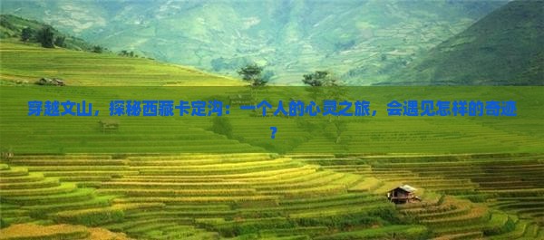 文山到西藏卡定沟个人游