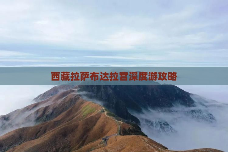 拉萨去西藏布达拉宫个人游
