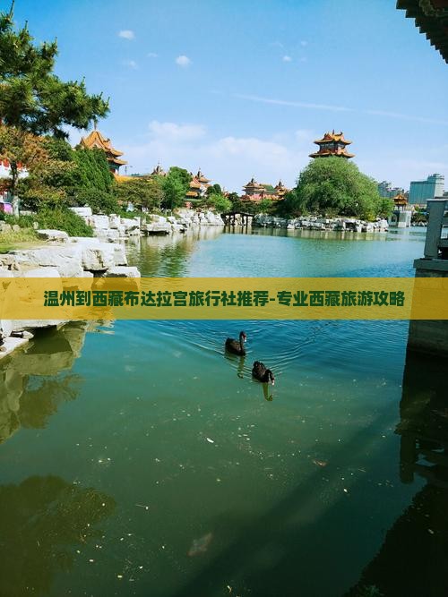 温州去西藏布达拉宫旅行社
