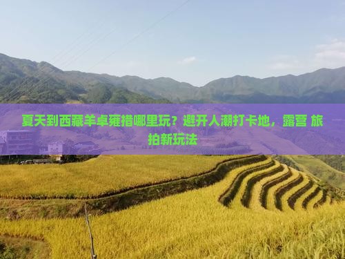 夏天到西藏羊卓雍措哪里玩