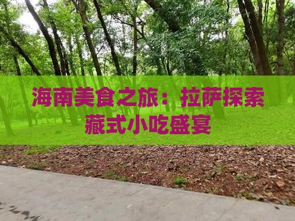海南省直辖到西藏拉萨旅游小吃