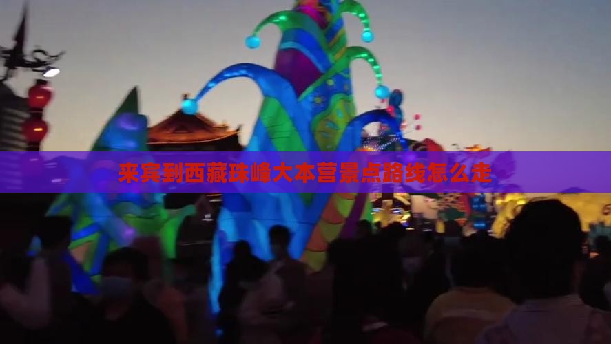来宾到西藏珠峰大本营景点