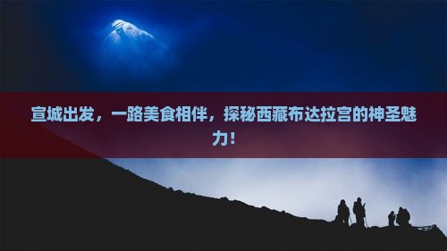 宣城到西藏布达拉宫旅游小吃