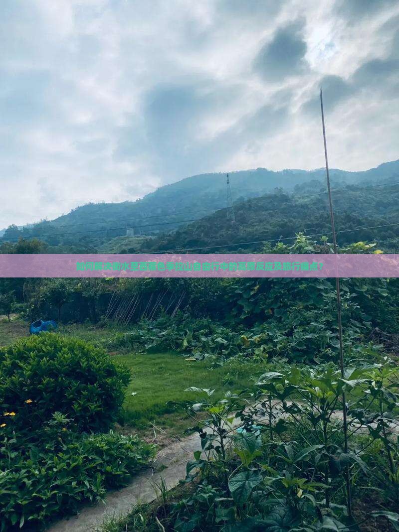 衡水去西藏色季拉山自由行