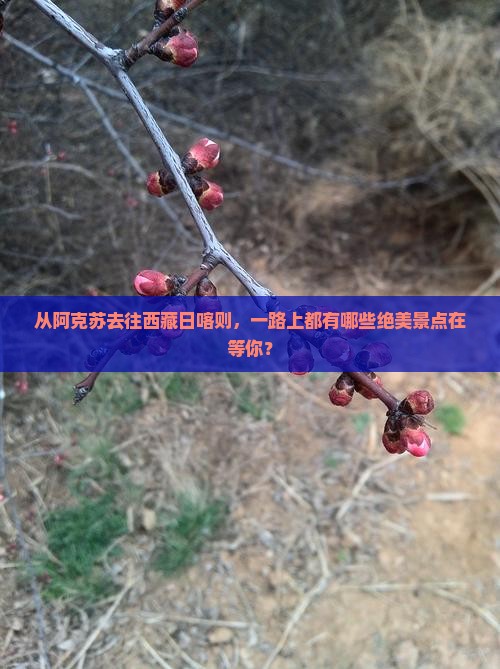 阿克苏到西藏日喀则景点