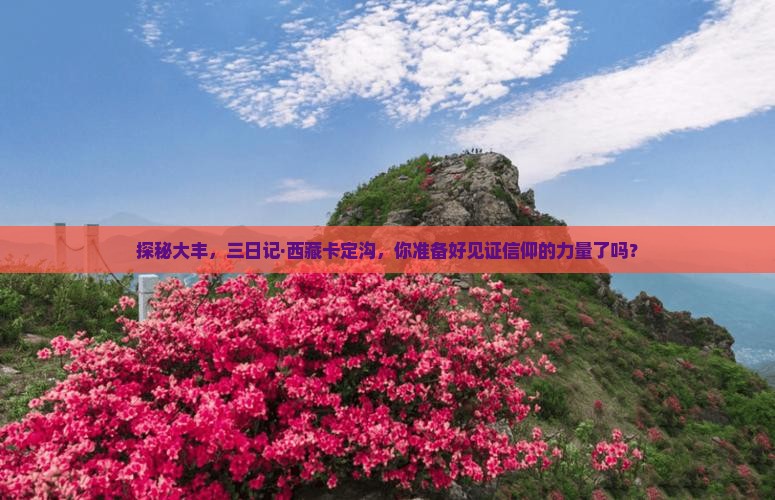 大丰去西藏卡定沟三日游