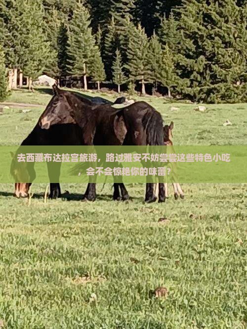 雅安去西藏布达拉宫旅游小吃