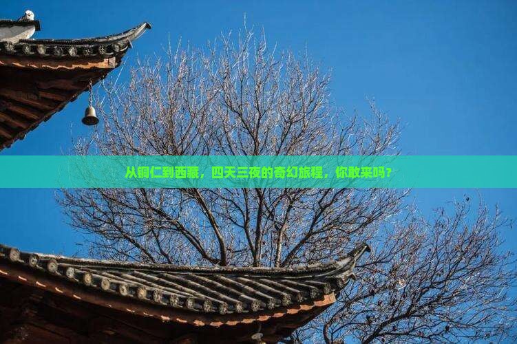 铜仁到西藏四日游