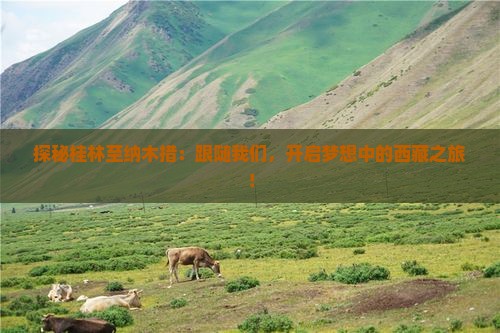 桂林到西藏纳木措大型旅游团