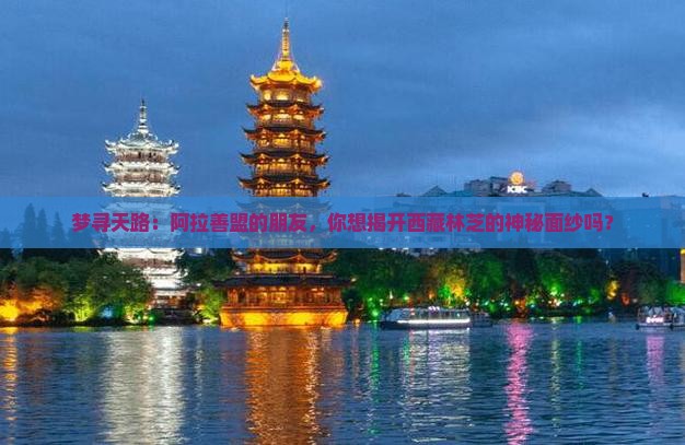 阿拉善盟去西藏林芝景点