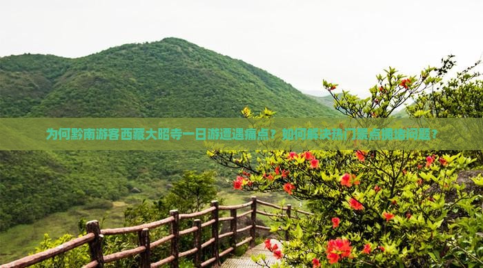 黔南去西藏大昭寺一日