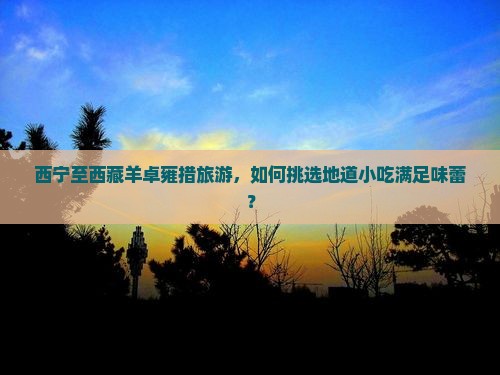 西宁到西藏羊卓雍措旅游小吃