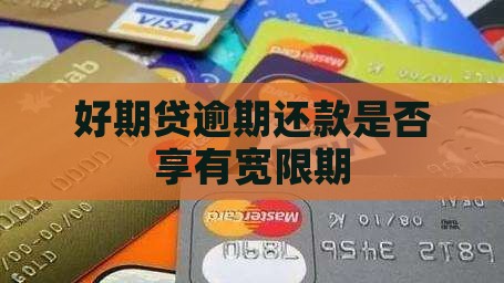 好期贷逾期还款是否享有宽限期