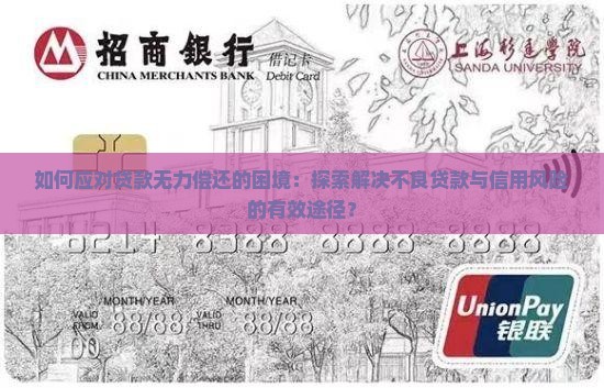 如何应对贷款无力偿还的困境：探索解决不良贷款与信用风险的有效途径？