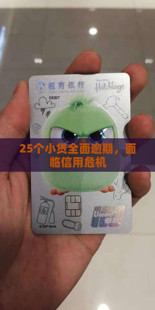 25个小贷全面逾期，面临信用危机