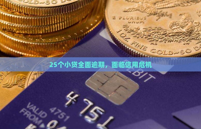 25个小贷全面逾期，面临信用危机