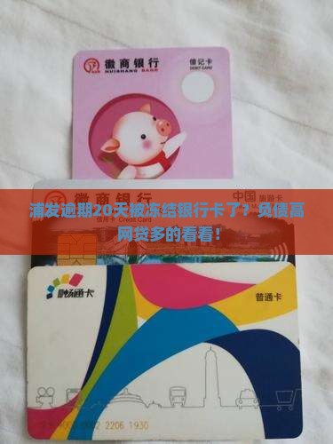 浦发逾期20天被冻结银行卡了？负债高+网贷多的看看！