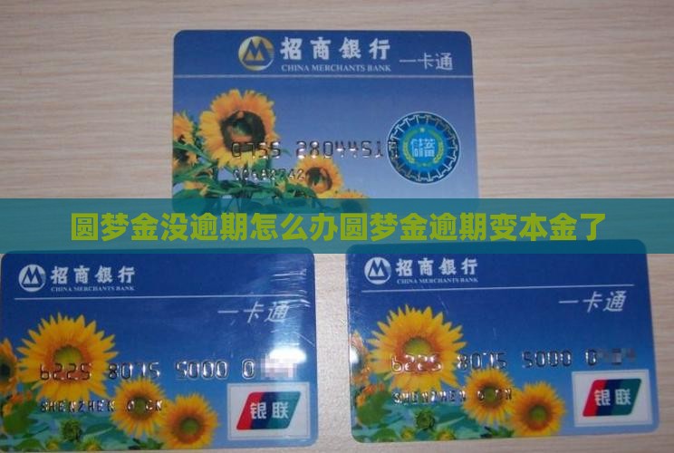 圆梦金没逾期怎么办圆梦金逾期变本金了
