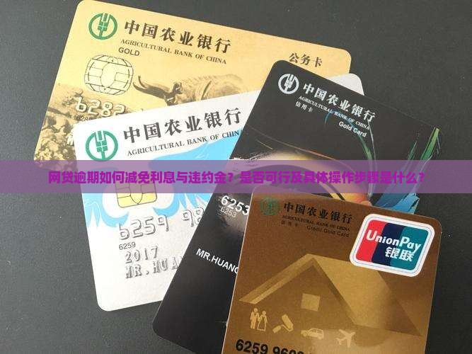 网贷逾期如何减免利息与违约金？是否可行及具体操作步骤是什么？
