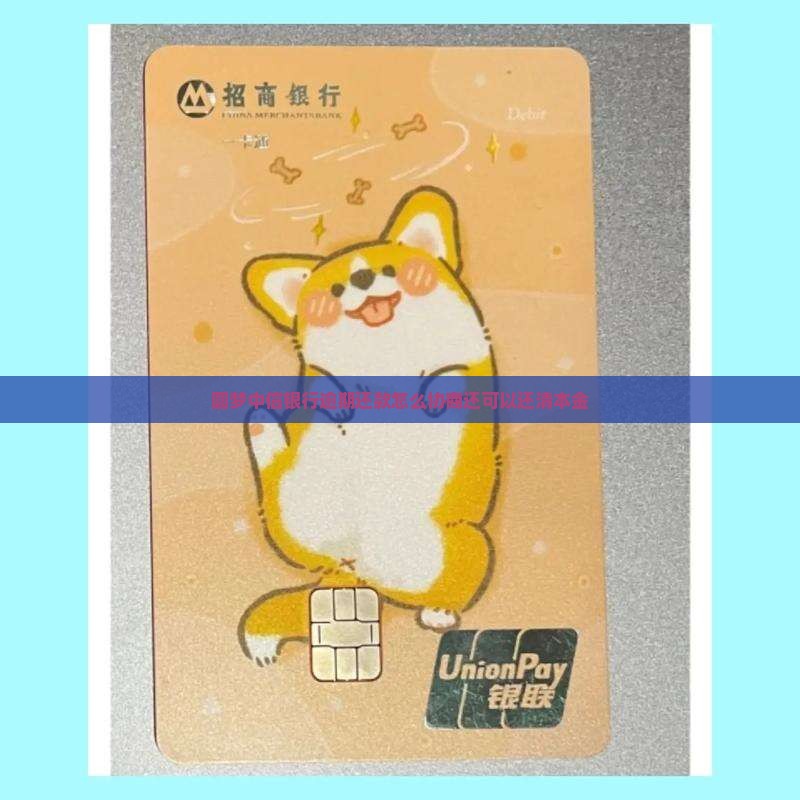 圆梦中信银行逾期还款怎么协商还可以还清本金
