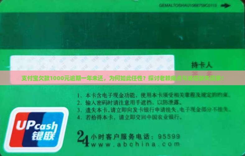 支付宝欠款1000元逾期一年未还，为何如此任性？探讨老赖痛点与诚信缺失现象！