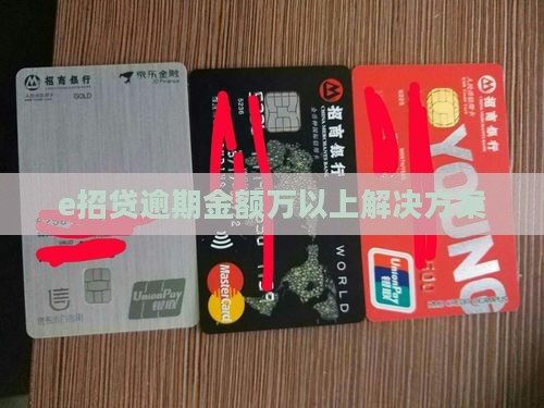 e招贷逾期金额万以上解决方案