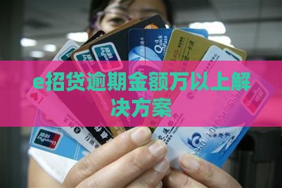 e招贷逾期金额万以上解决方案
