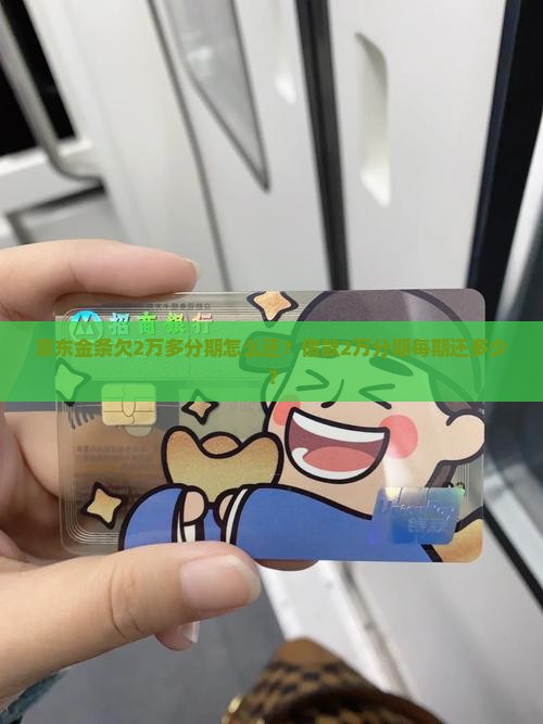 京东金条欠2万多分期怎么还？借款2万分期每期还多少？