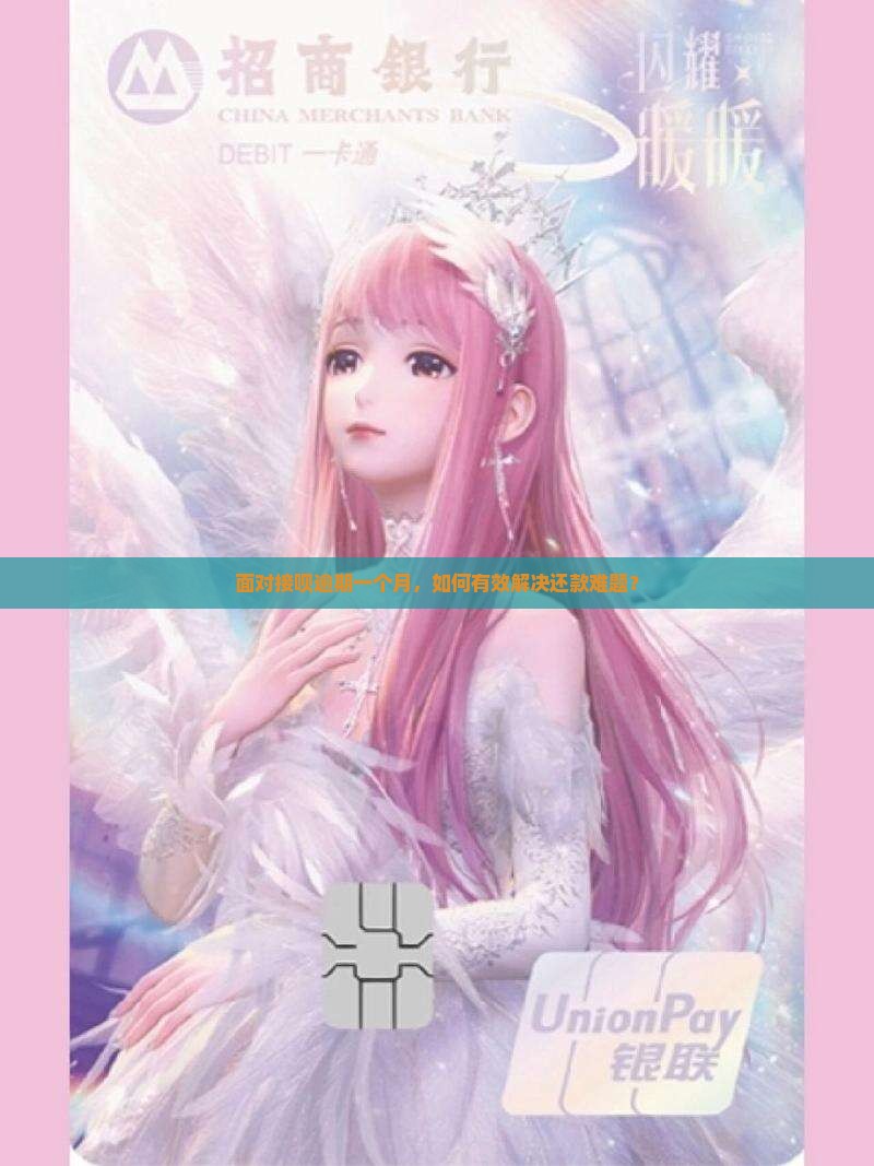 面对接呗逾期一个月，如何有效解决还款难题？