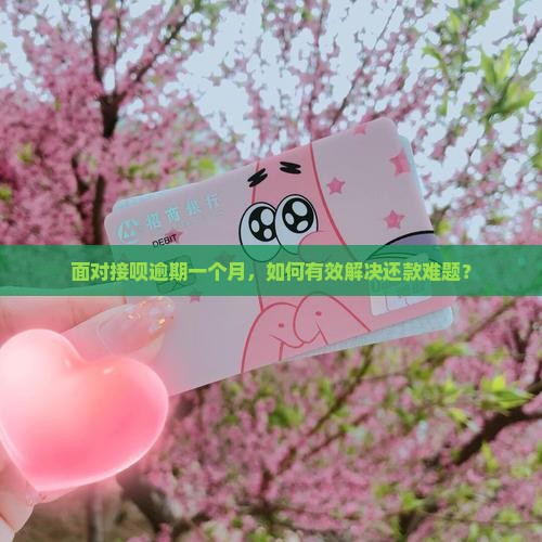 面对接呗逾期一个月，如何有效解决还款难题？