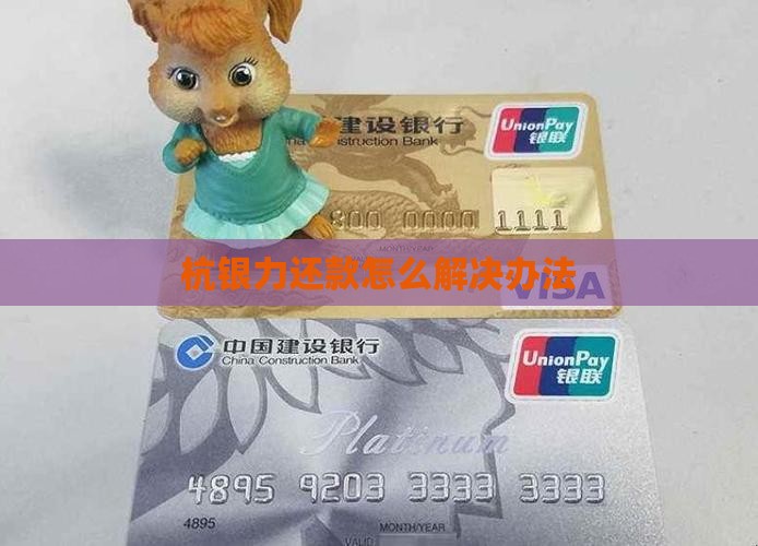 杭银力还款怎么解决办法