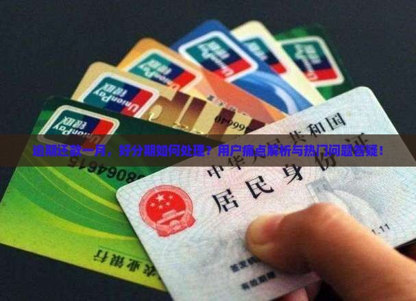 逾期还款一月，好分期如何处理？用户痛点解析与热门问题答疑！