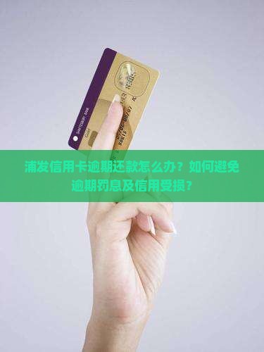 浦发信用卡逾期还款怎么办？如何避免逾期罚息及信用受损？