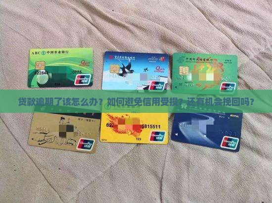 贷款逾期了该怎么办？如何避免信用受损？还有机会挽回吗？